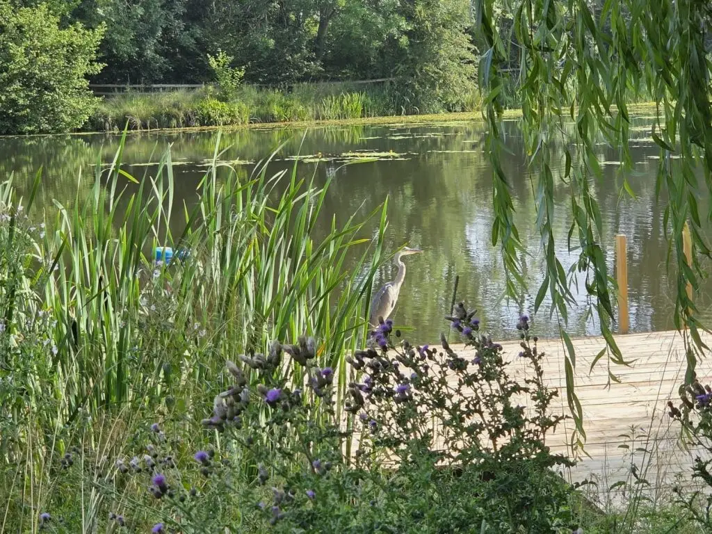 The Start of Leys Farm | Stewardship & Regeneration