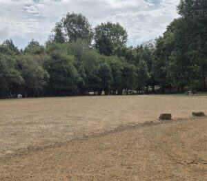Summer 2026 Drought
