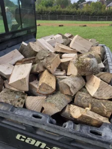 Can-Am load of air-dried ash logs for local delivery